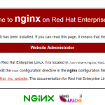 Cara Install Nginx di Centos 8 untuk Pemula