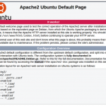 Cara Install  Apache Web Server Pada Ubuntu 20.04 / Debian 11
