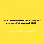 PIP