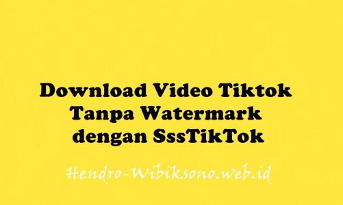 Download Video Tiktok Tanpa Watermark dengan SssTikTok