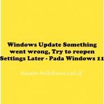 Windows Update Something went wrong, Try to reopen Settings Later - Pada Windows 11