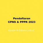 Pendaftaran CPNS & PPPK 2023