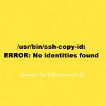 /usr/bin/ssh-copy-id: ERROR: No identities found