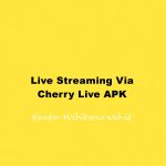 Live Streaming Via Cherry Live APK