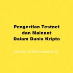 Pengertian Testnet dan Mainnet Dalam Dunia Kripto