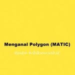 Menganal Polygon (MATIC) Token