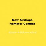 New Airdrops Hamster Combat