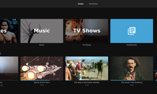 Self-Hosted: Membangun Media Server (Jellyfin) sebagai Alternatif Streaming Paling Canggih